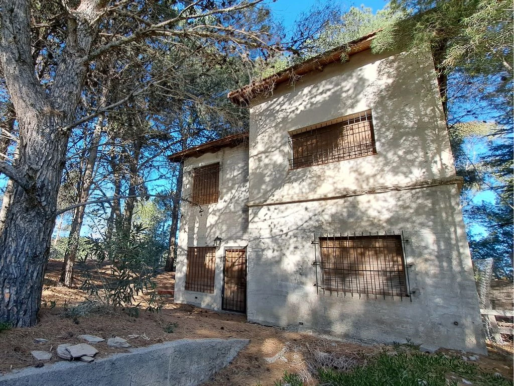 105 casa fondo imagen 2