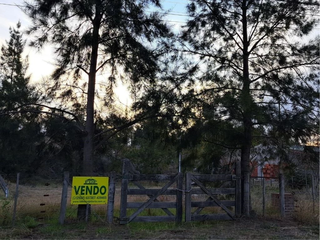lote 118