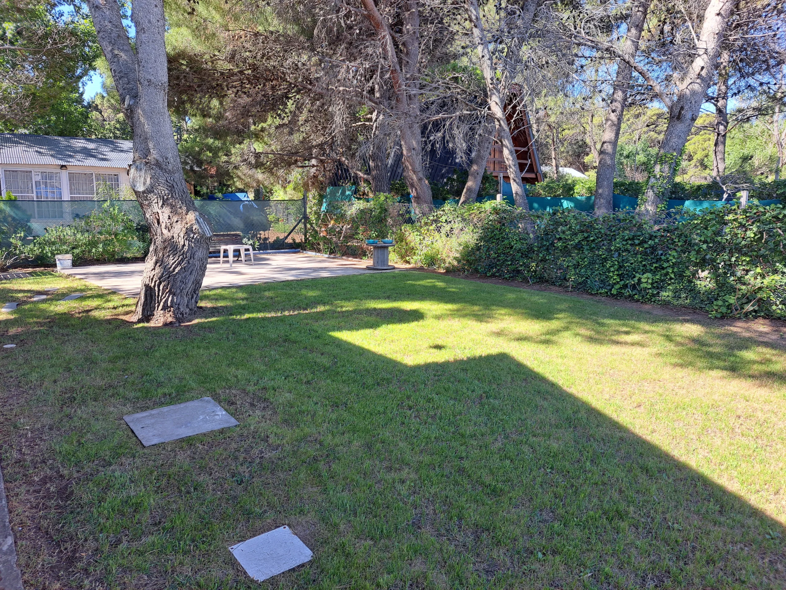 23 monoambiente patio