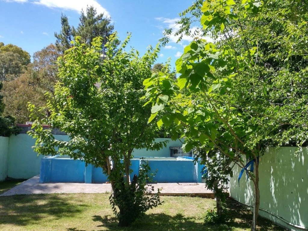 37 casa patio