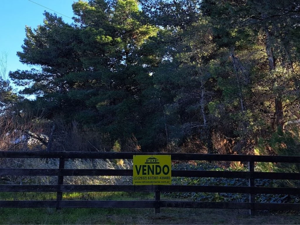 lote 120